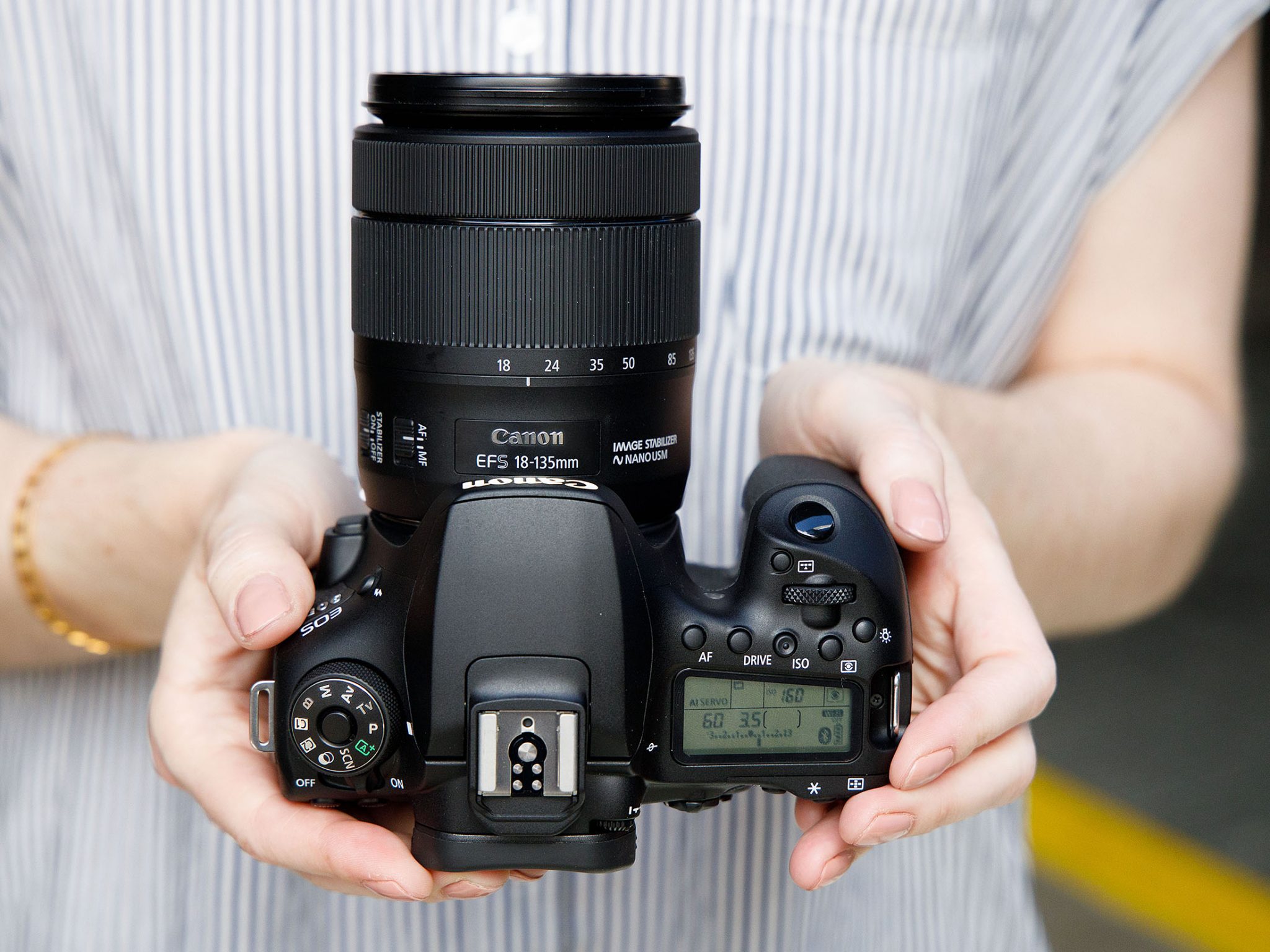 Unveil the specifications regarding the excellent cameras for wildlife